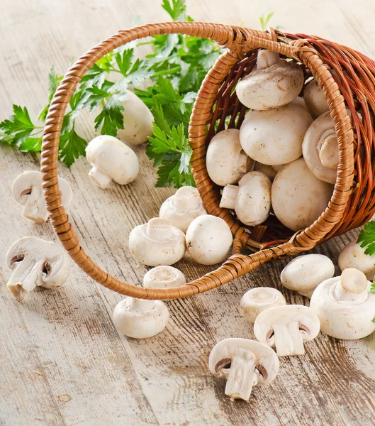 Mushrooms — Stock Image Mushrooms Stock Picture