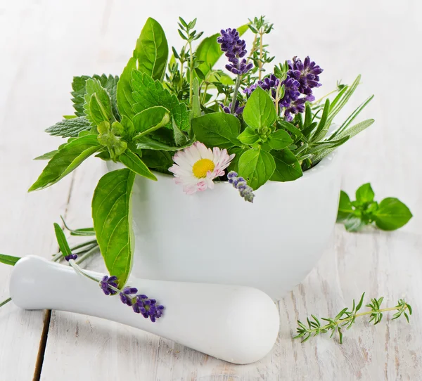 Mortar with fresh herbs — Stock Photo, Image