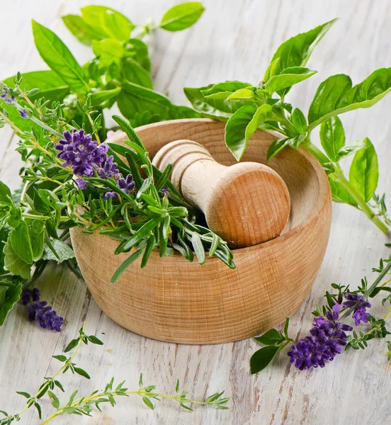 Mortar with herbs — Stock Photo, Image