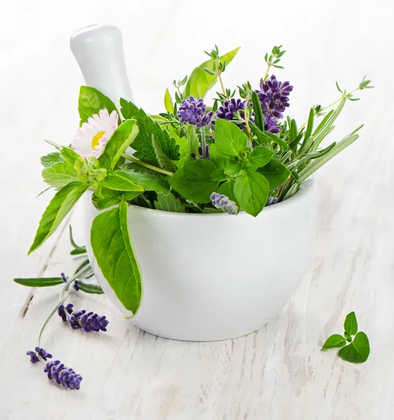 Fresh herbs — Stock Photo, Image