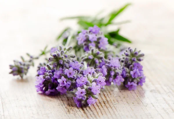 Fresh lavender on a wooden background — Stock Photo, Image