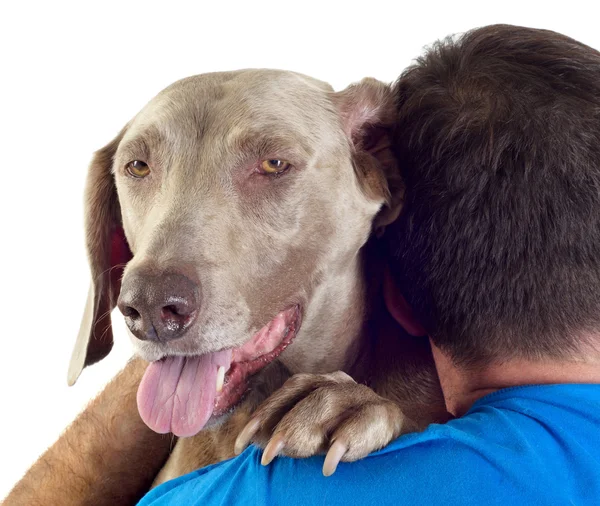 Hund och människa — Stockfoto