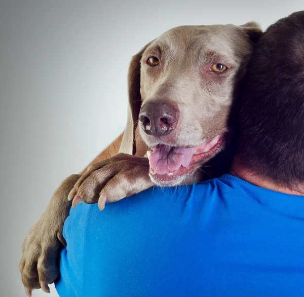 Hund och människa — Stockfoto