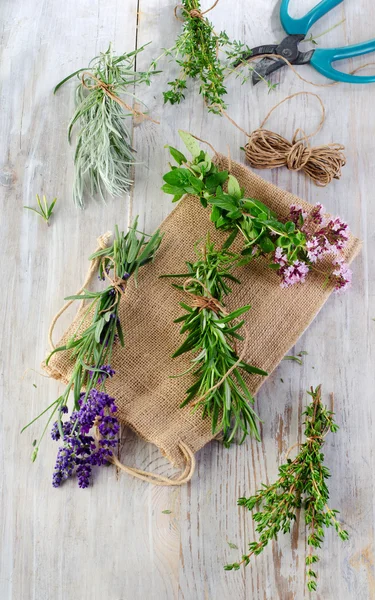 Herbs — Stock Photo, Image