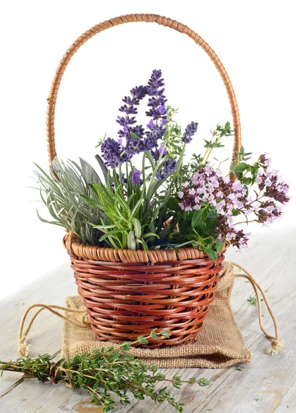 Świeże zioła w koszyku — Zdjęcie stockowe