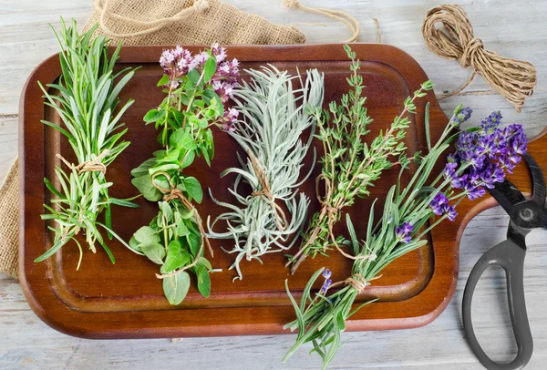 Fresh herbs — Stock Photo, Image