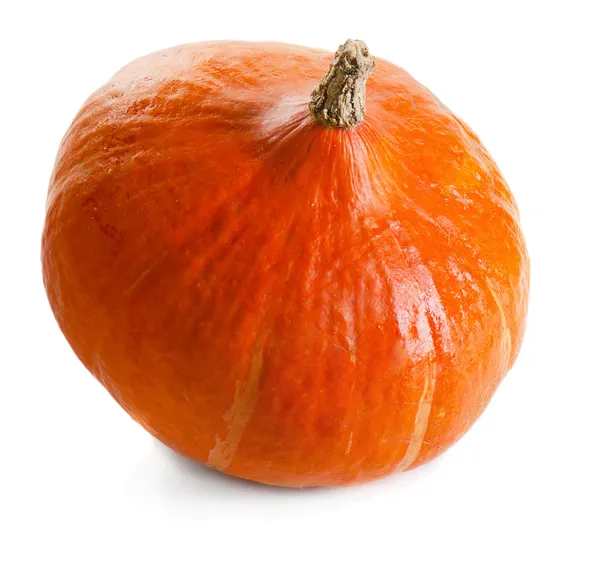 Calabaza — Foto de Stock