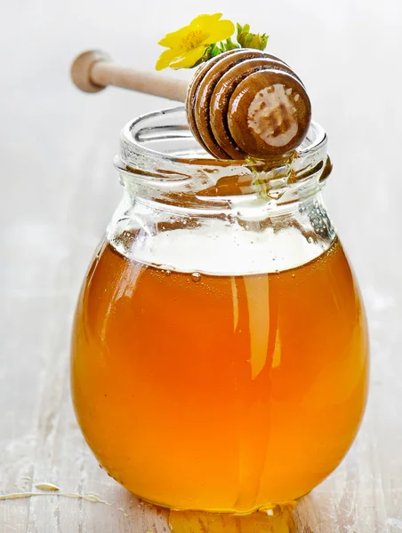 꿀 항아리 — 스톡 사진