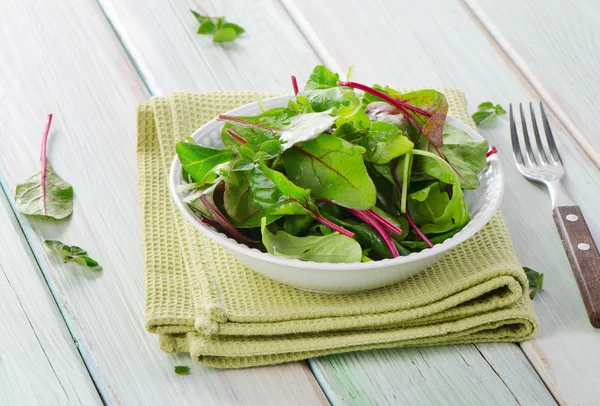 Fresh mixed salad leaves — Stock Photo, Image