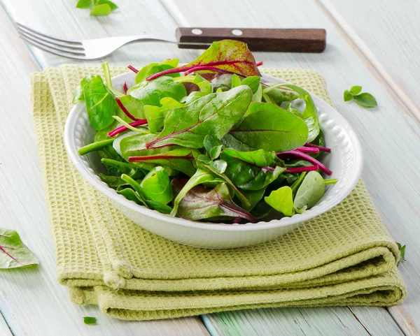 Fresh mixed salad leaves — Stock Photo, Image