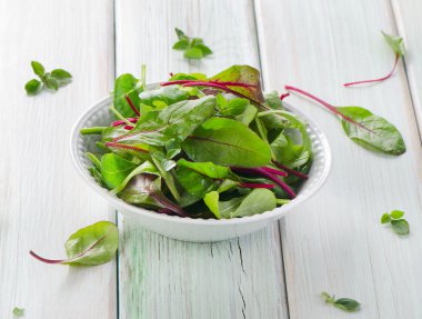 taze karışık salata yaprakları