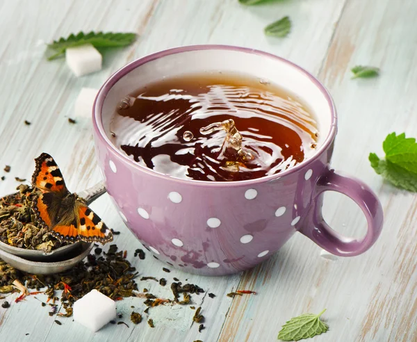 Cup of tea — Stock Photo, Image