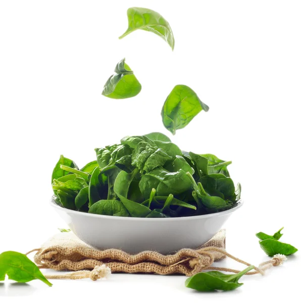 Fresh green spinach leaves — Stock Photo, Image