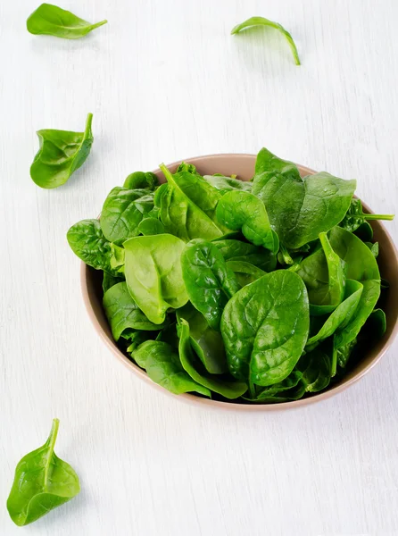 Fresh green spinach leaves — Stock Photo, Image