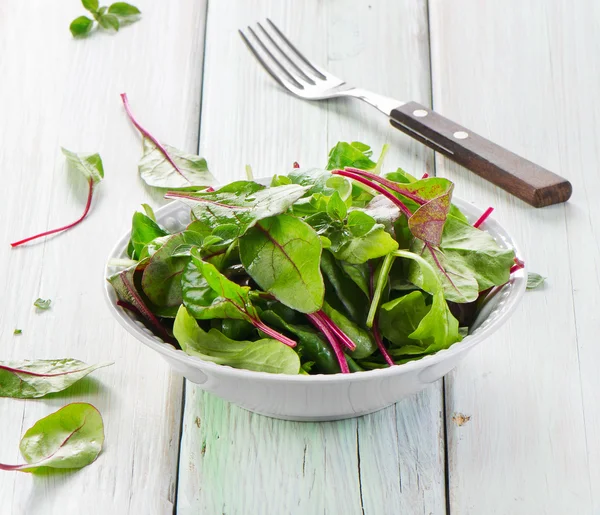 Taze karışık salata — Stok fotoğraf