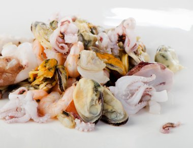 ham karışık deniz ürünleri