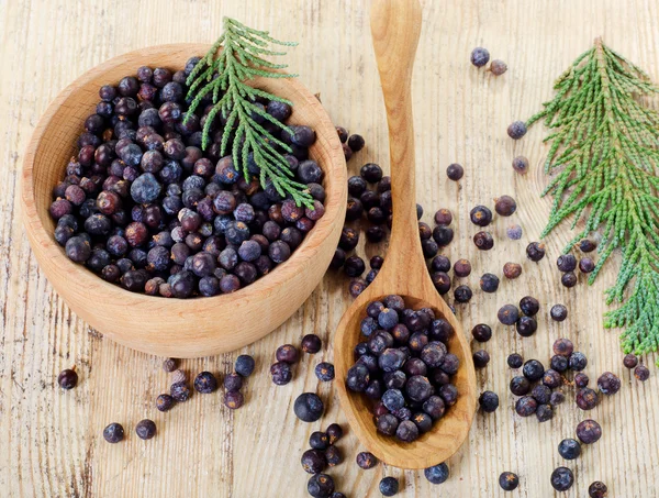 Houten kom met zaden van juniper — Stockfoto