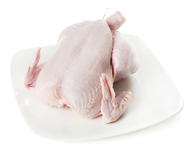 Whole raw chicken — Stock Photo, Image