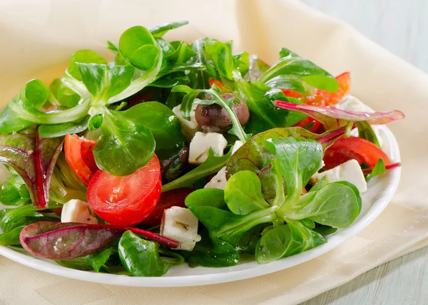 Salade met feta en olijven — Stockfoto