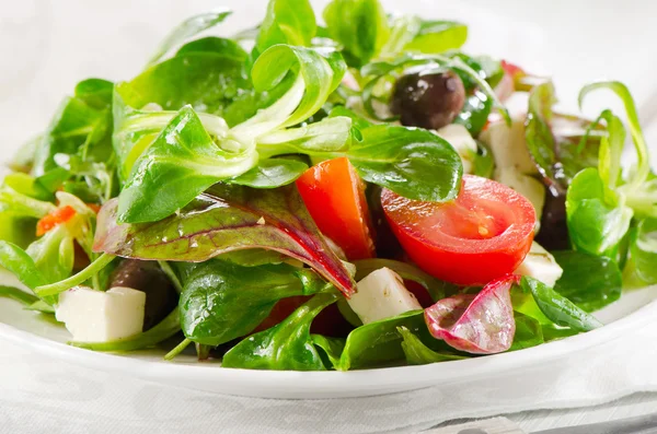 Sallad — Stockfoto