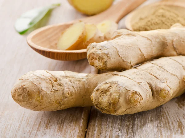 Ginger — Stock Photo, Image