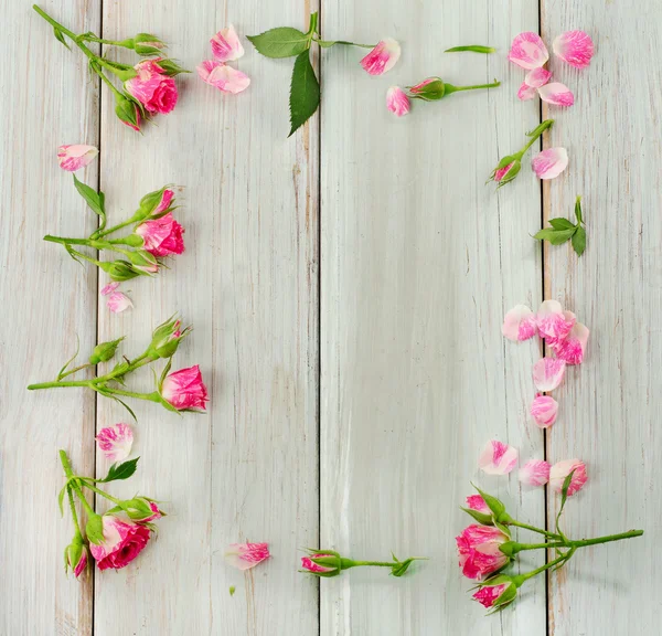 Flowers — Stock Photo, Image