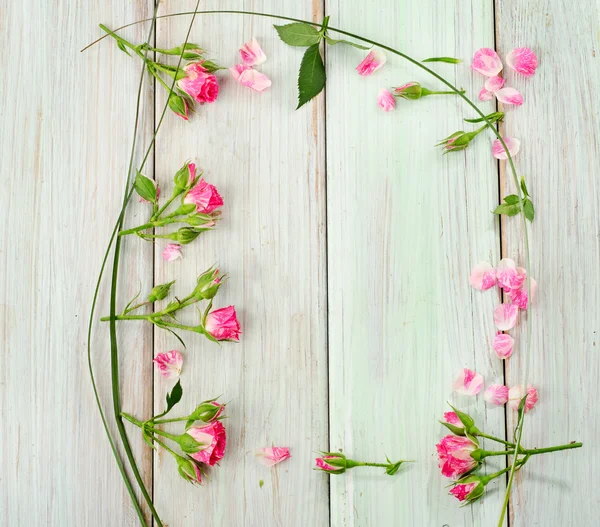 Flowers — Stock Photo, Image