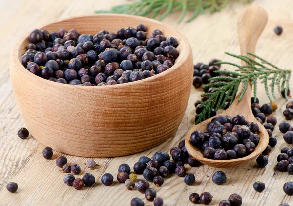 Houten kom met zaden van juniper — Stockfoto