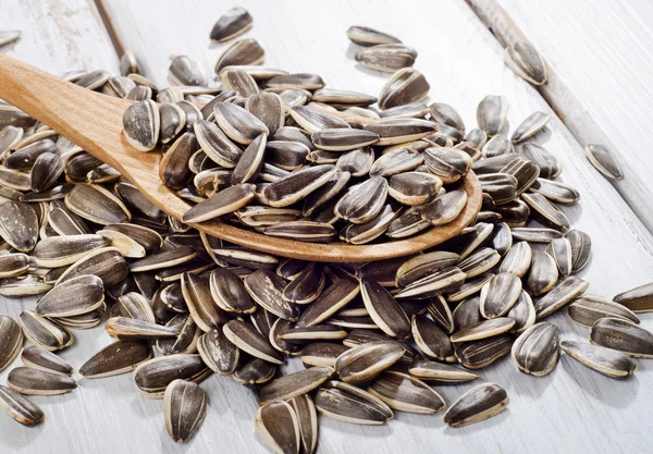 Sunflower seeds — Stock Photo, Image