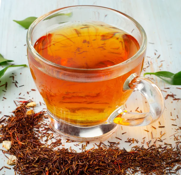 Cup of rooibos tea — Stock Photo, Image