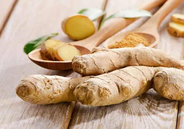 Ginger — Stock Photo, Image