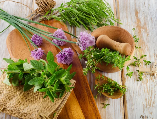 Various herbs — Stock Photo, Image