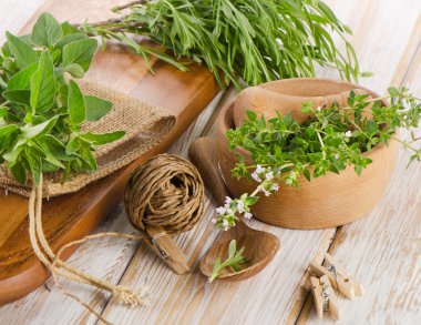 Tahta masadaki taze bitkiler.