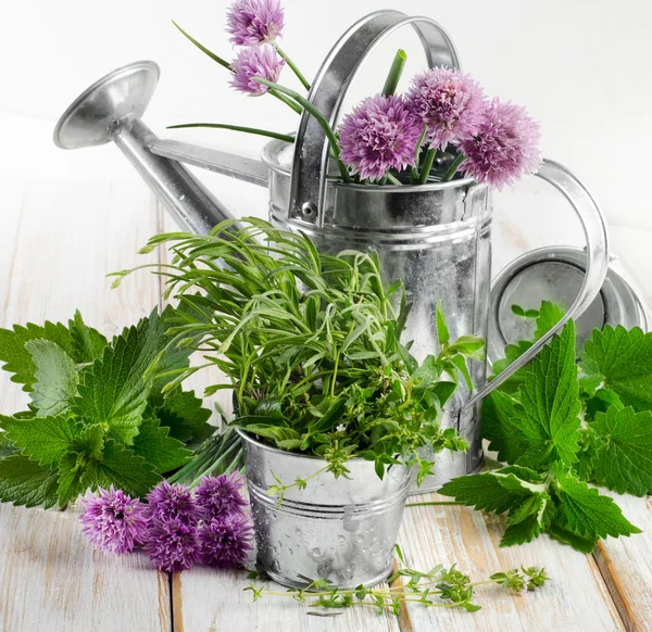 Fresh herbs on a wooden table — Stock Photo, Image