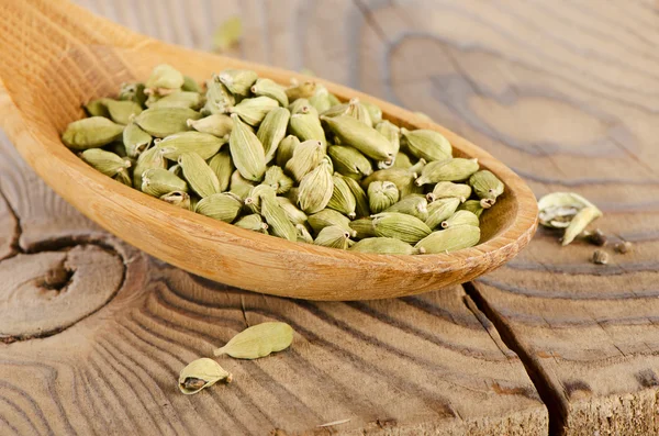 Cardamão — Fotografia de Stock