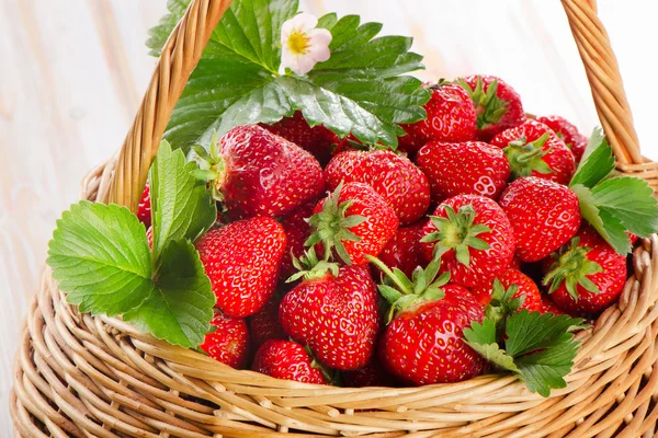 Fresh strawberries in the basket — Stock Photo, Image