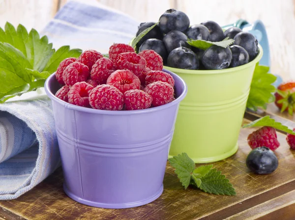 Frische Beeren — Stockfoto