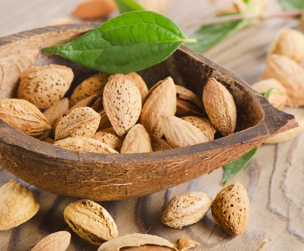 Almonds in coconut shell — Stock Photo, Image