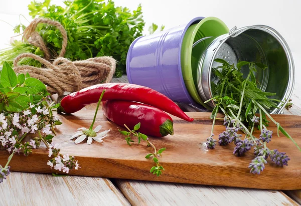 Pepper and fresh herbs — Stock Photo, Image