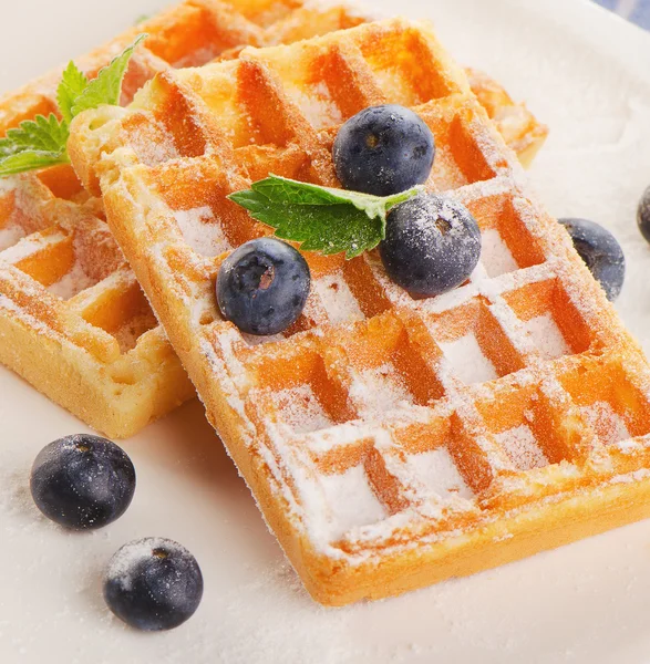 Waffles with blueberries and mint. — Stock Photo, Image
