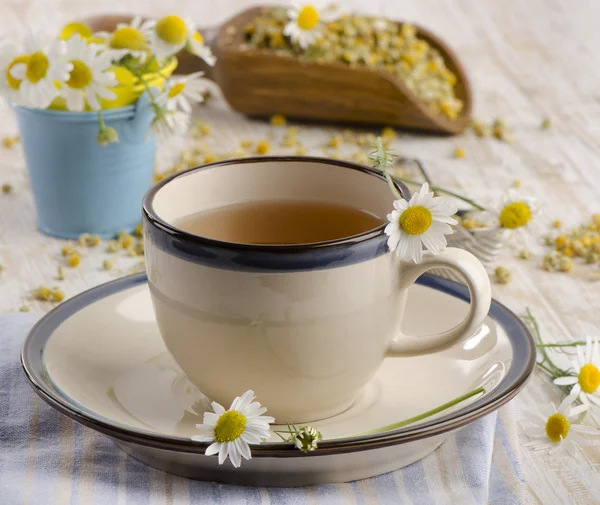 Té de hierbas — Foto de Stock