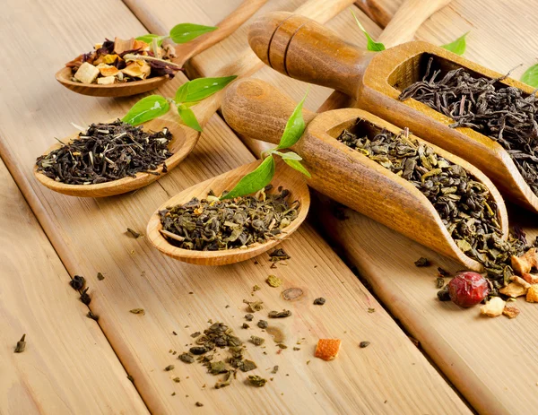 Surtido de té seco — Foto de Stock