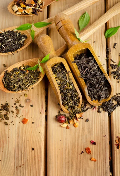 Assortment of dry tea — Stock Photo, Image