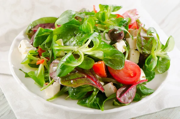 Verse salade — Stockfoto