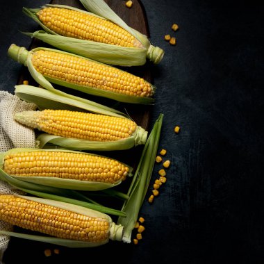 Çiğ mısır ya da koyu arkaplanda mısır. Yemek konseptini hasat et. Üst görünüm, düz görünüm, kopyalama alanı