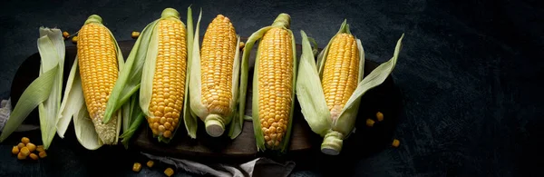 暗い背景に生のトウモロコシやトウモロコシ 食糧の概念を収穫する パノラマ コピースペース — ストック写真