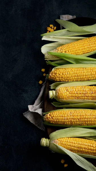 暗い背景に生のトウモロコシやトウモロコシ 食糧の概念を収穫する トップビュー フラットレイアウト コピースペース — ストック写真