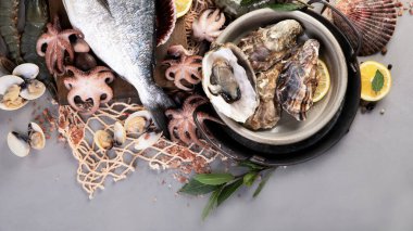 Açık gri arka planda balık çeşitleri. Akdeniz yemekleri konsepti. Düz konum, üst görünüm, kopyalama alanı