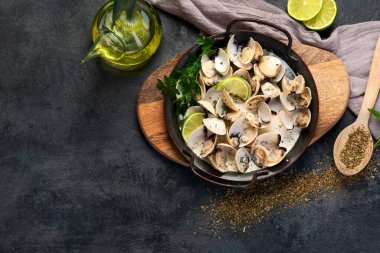 Gri arka planda Venüs vangole. Geleneksel Akdeniz gıda konsepti. Üst görünüm, düz görünüm, kopyalama alanı