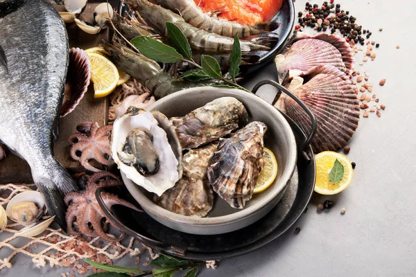 Açık Gri Arka Planda Balık Çeşitleri Akdeniz Yemekleri Konsepti Boşluğu — Stok fotoğraf